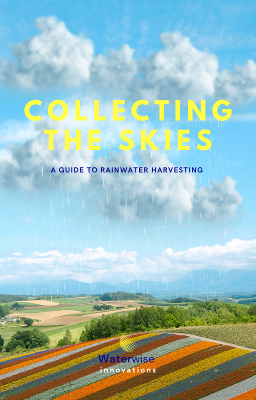 Collecting the Skies eBook Cover