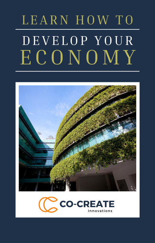 Learn How to Develop Your Economy eBook Cover
